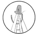 Protection Cap PS-FB5